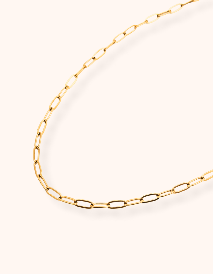 Ezra Paperclip Necklace - Water & Tarnish Proof