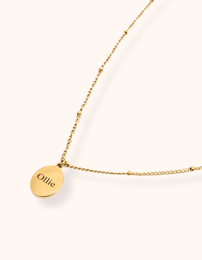 Personalised Paw Print Necklace - Water & Tarnish Proof (Ready in 14 days!)
