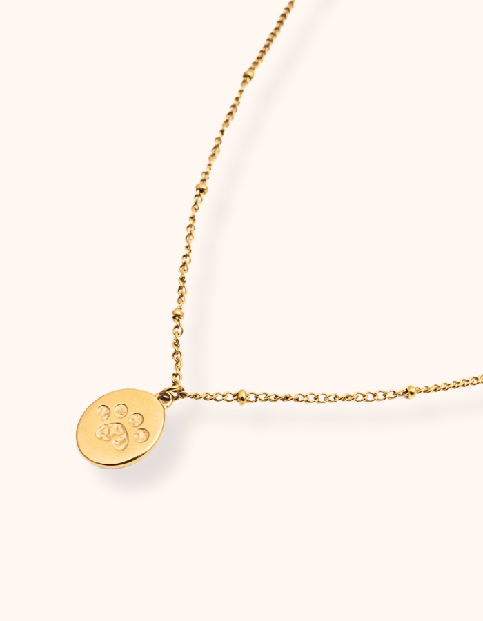 Personalised Paw Print Necklace - Water & Tarnish Proof (Ready in 14 days!)
