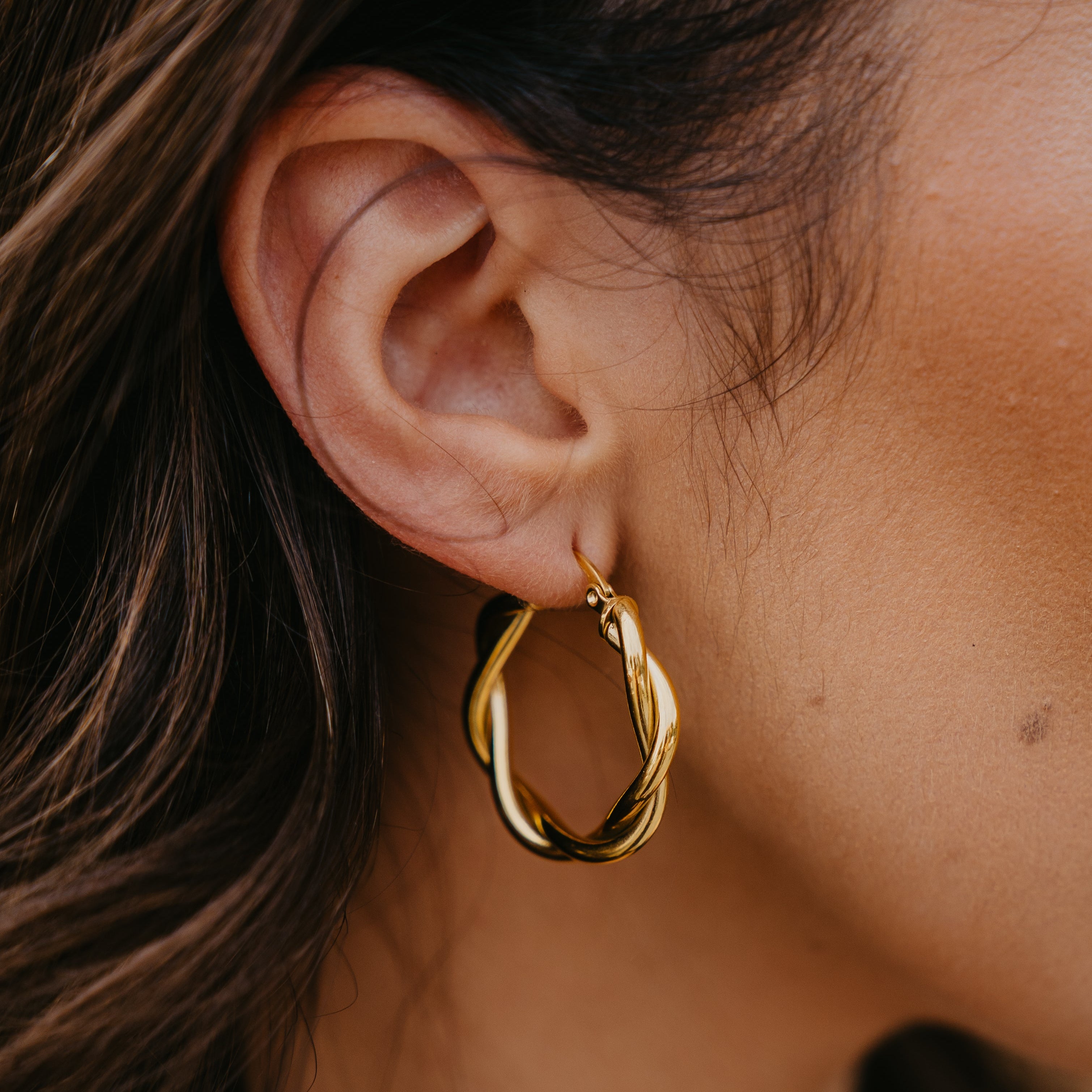 THE ICON HOOPS